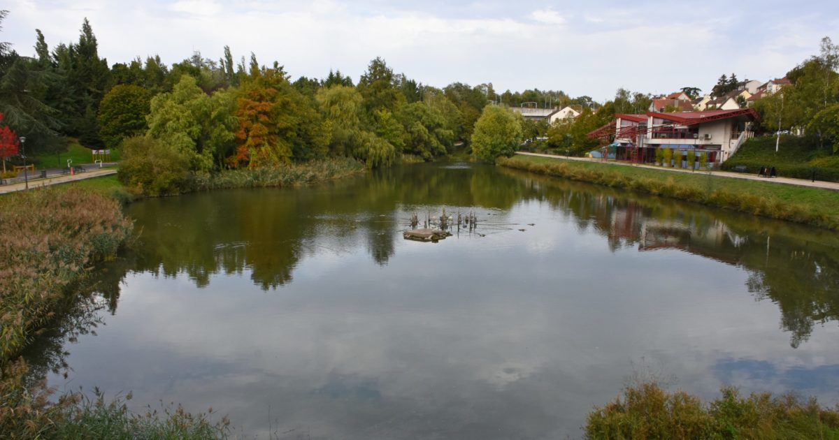 Biodiversité : une ville durable et innovante