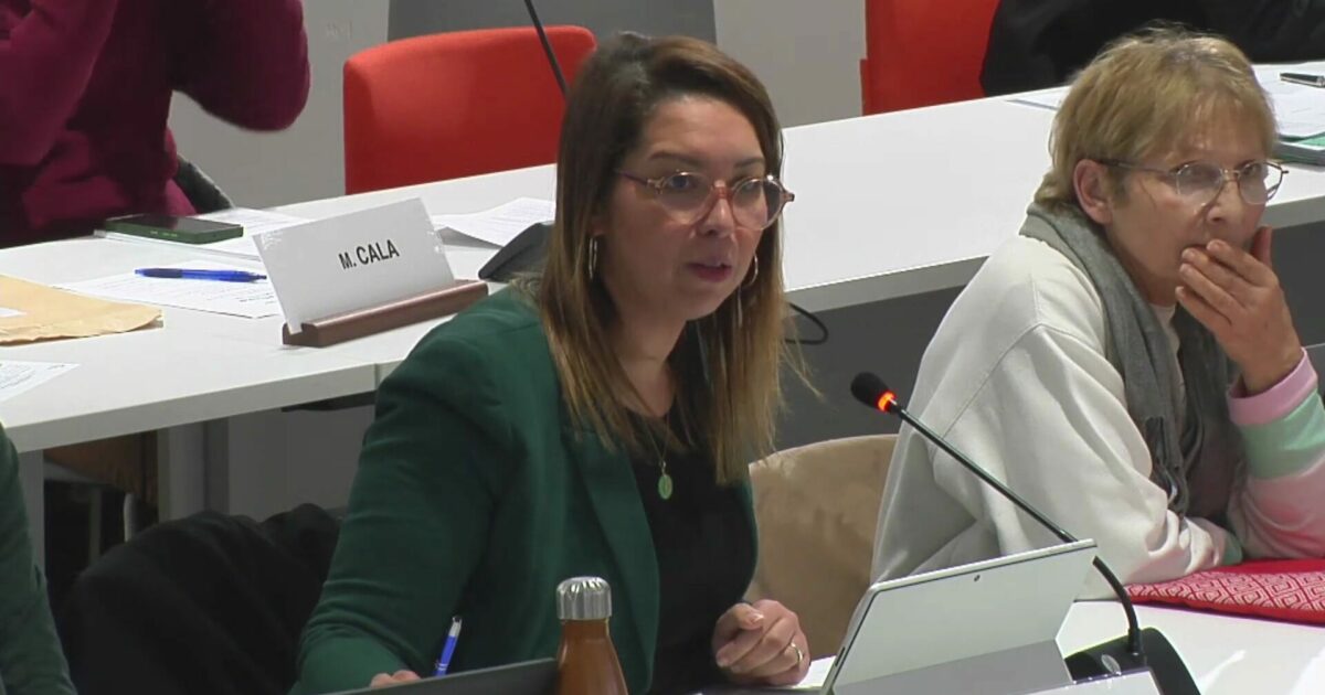 <time>jeudi 05 février 2026 &agrave; 20h30</time>Conseil municipal