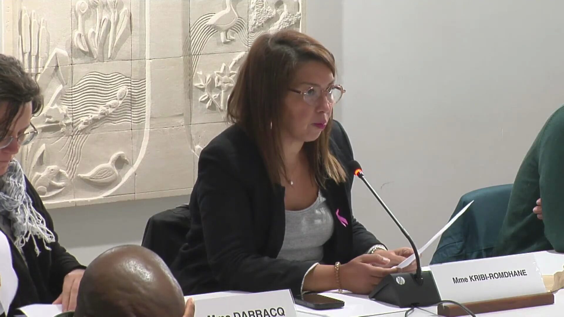 Conseil municipal du 16 octobre 2025