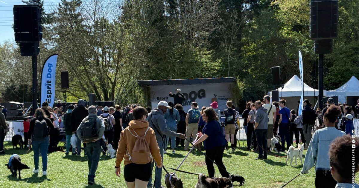 Esprit Dog à Massy : quels critères et coûts pour la ville ?