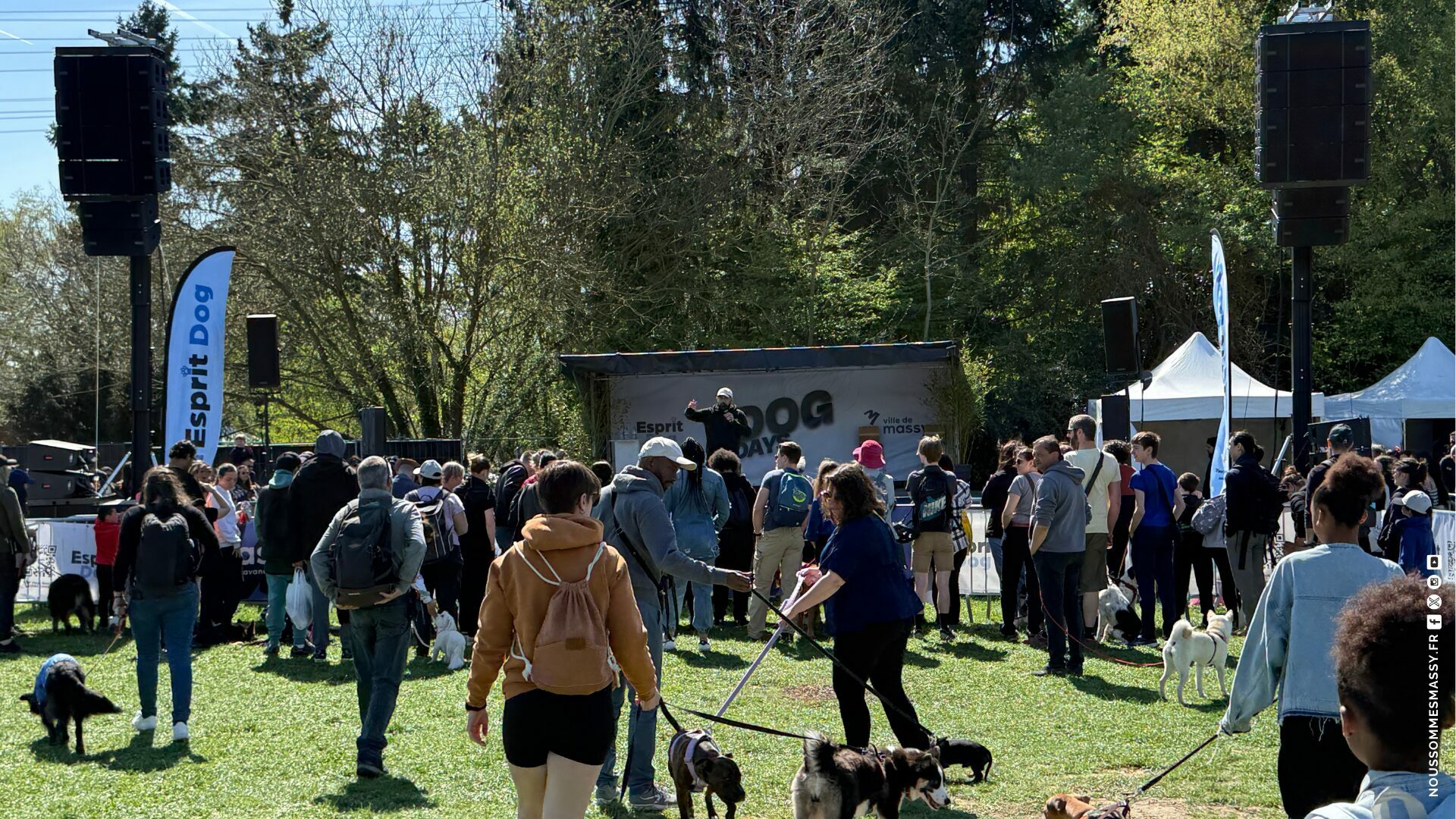 Esprit Dog à Massy : quels critères et coûts pour la ville ?